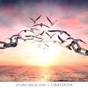 Meet your Posher, Carole